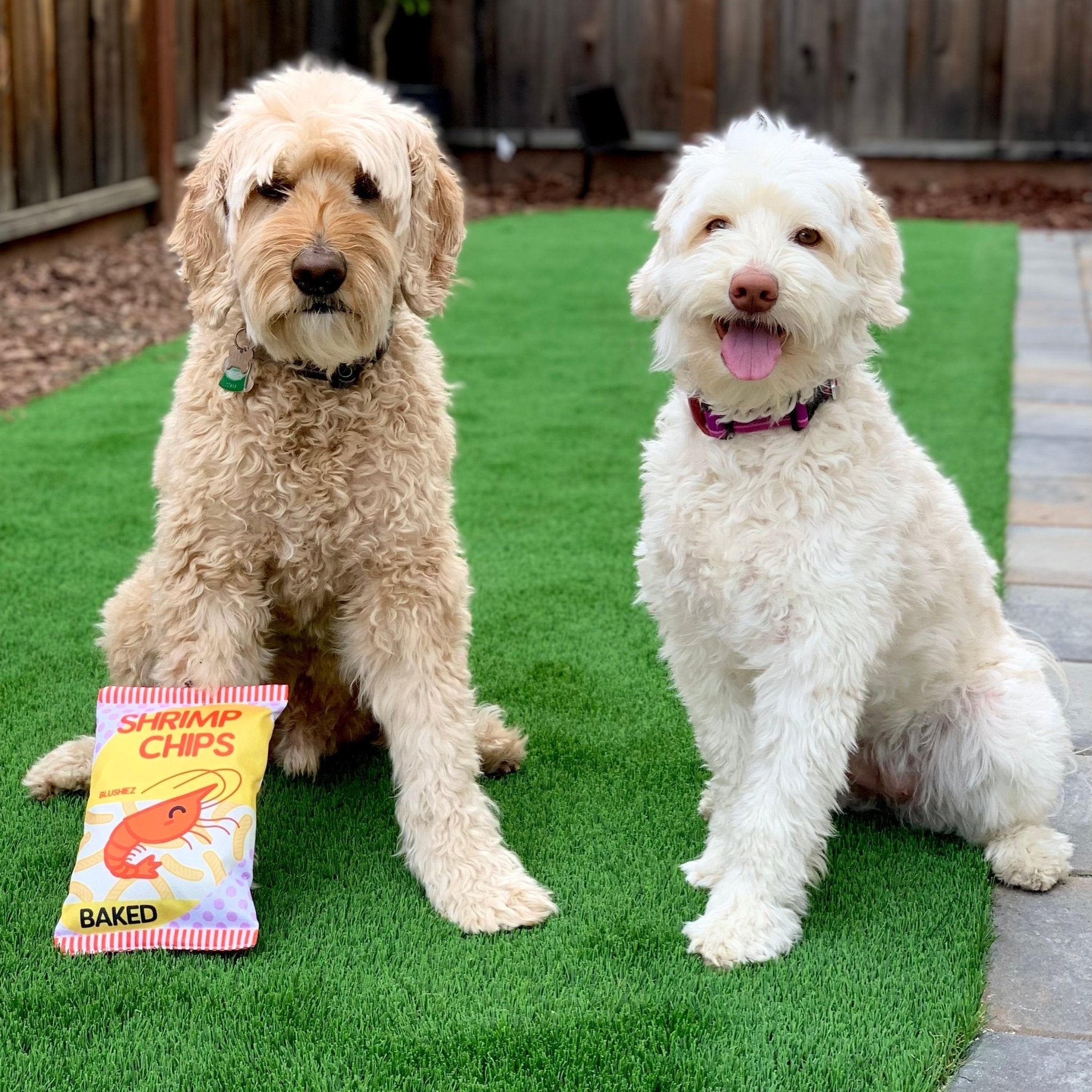 Two dogs sitting with yellow plush shrimp chip bag toys on green grass