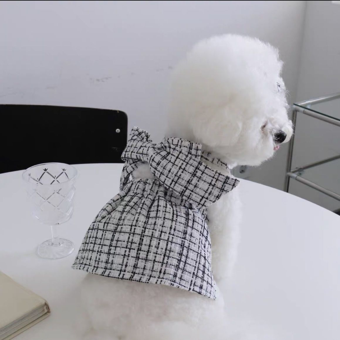 White dog wearing black-and-white plaid sling skirt dress with back bow