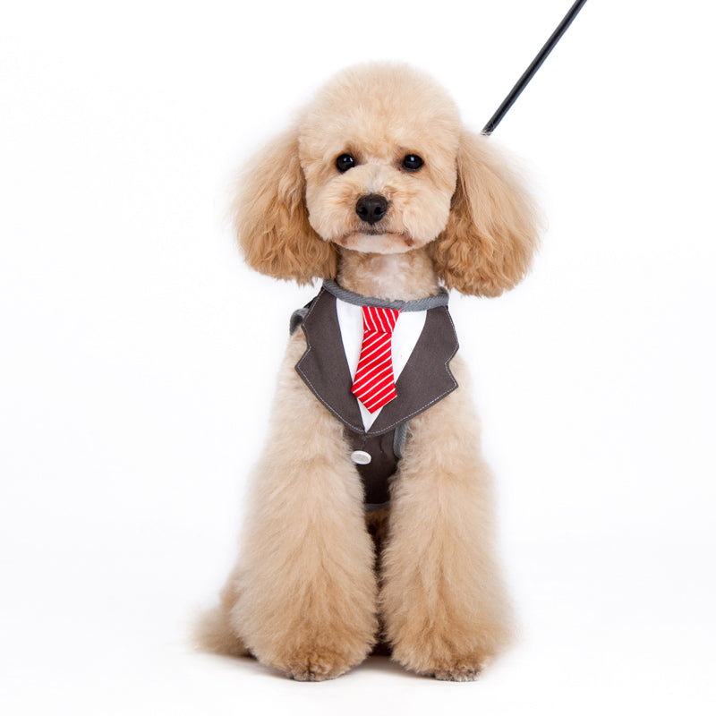 {{product_title}} - Cookies Wagging Friends Boutique