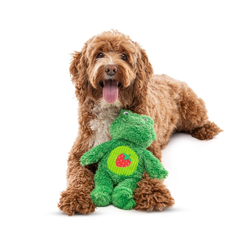 Green frog plush dog toy attached to brown dog, striped belly with red patch