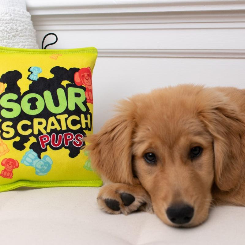 Green plush dog toy with Sour Scratch Pups graphic, worn with puppy beside it