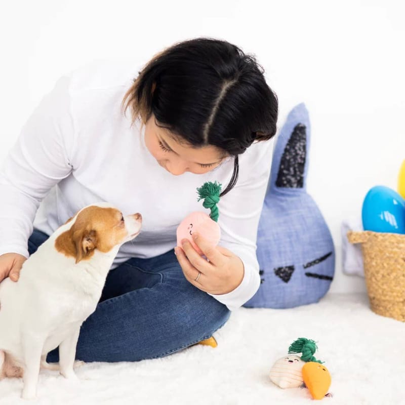 Plush vegetable dog toys, including orange carrot and pink root, during play