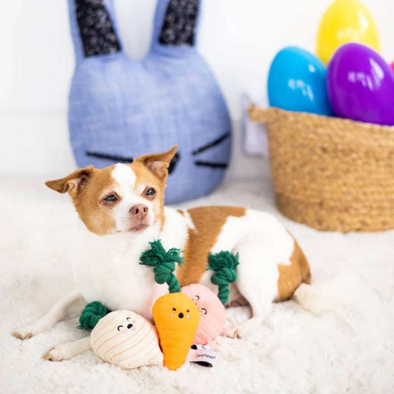 Plush veggie dog toys set with pink root, orange carrot, and cream onion on bed