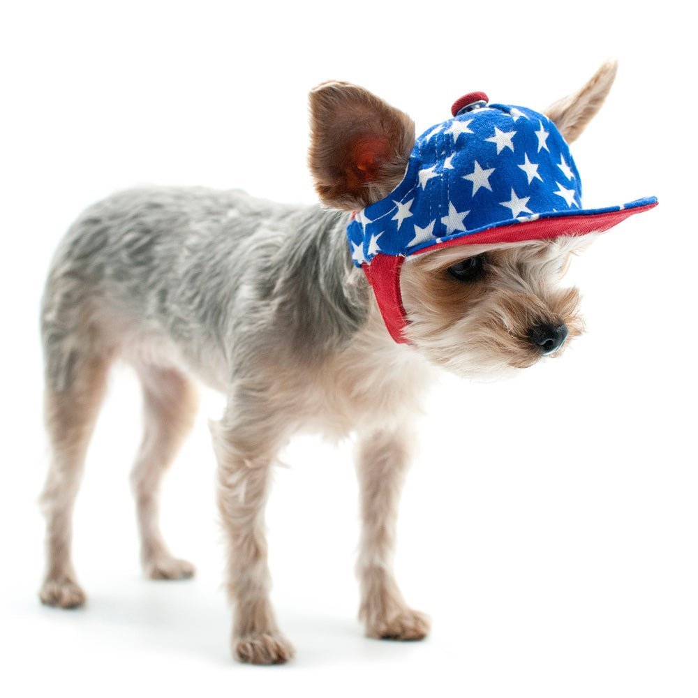 Blue star-print dog hat with red brim and strap, side view