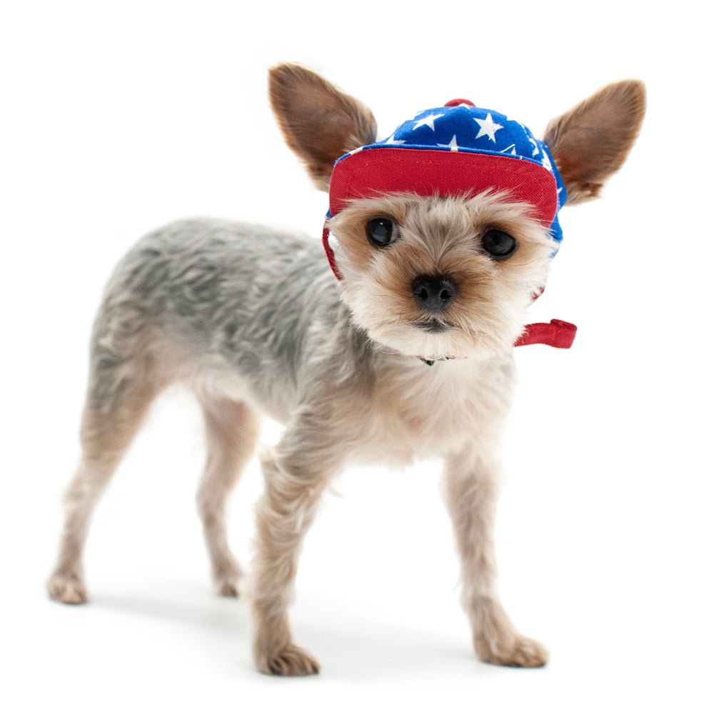 Blue star-print dog hat with red band and chin strap, front view
