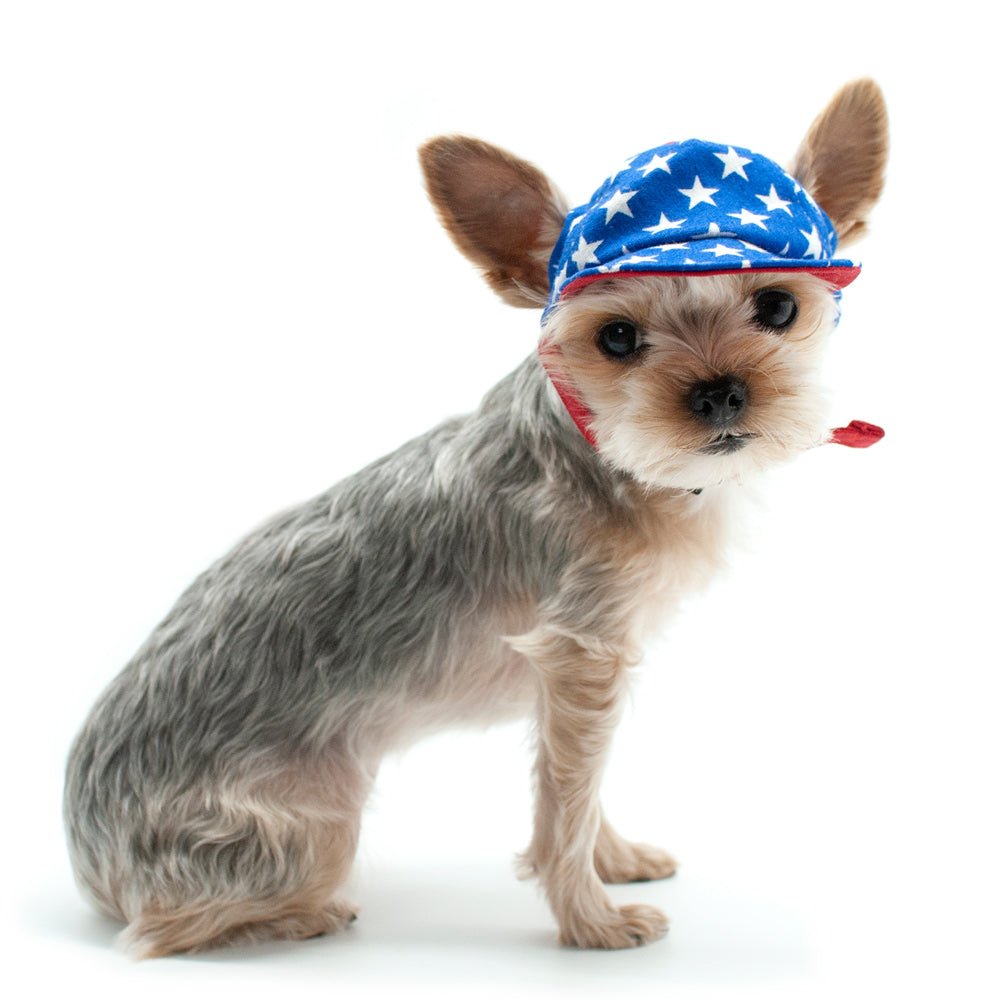 Blue star-print dog hat with red brim and chin strap, front view
