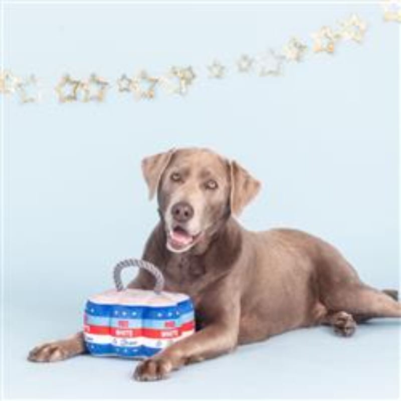 Plush striped dog toy with blue star accents and red and white bands, with rope handle