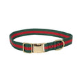 Green and red striped dog collar with brass buckle and metal D-ring