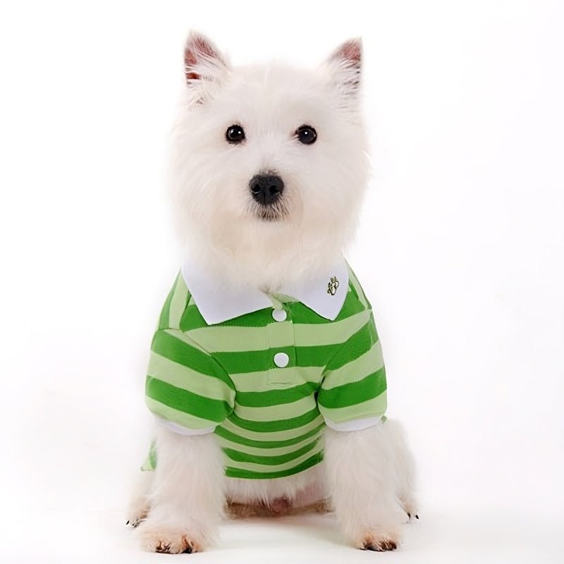 Green striped polo shirt with collar and button placket, short sleeves