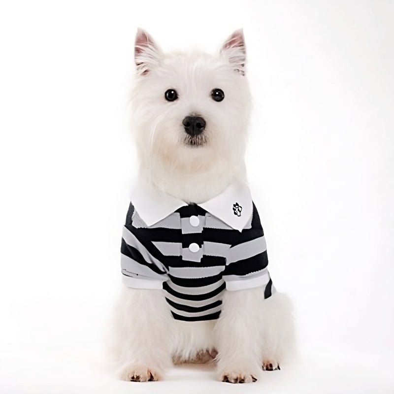 Black and white striped pet polo shirt with white button placket