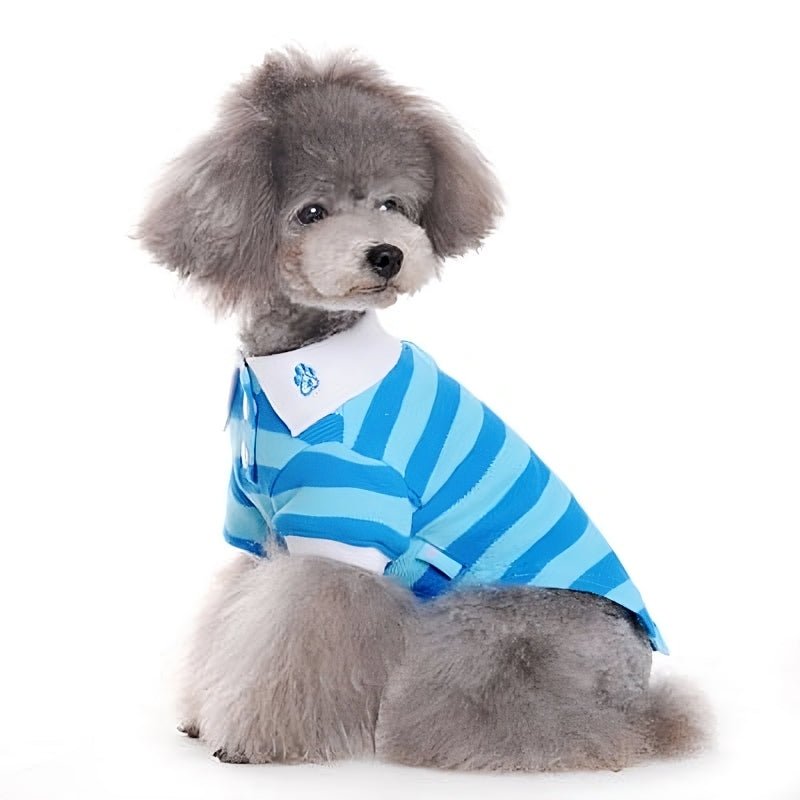Blue striped polo shirt for pets, white collar and button placket