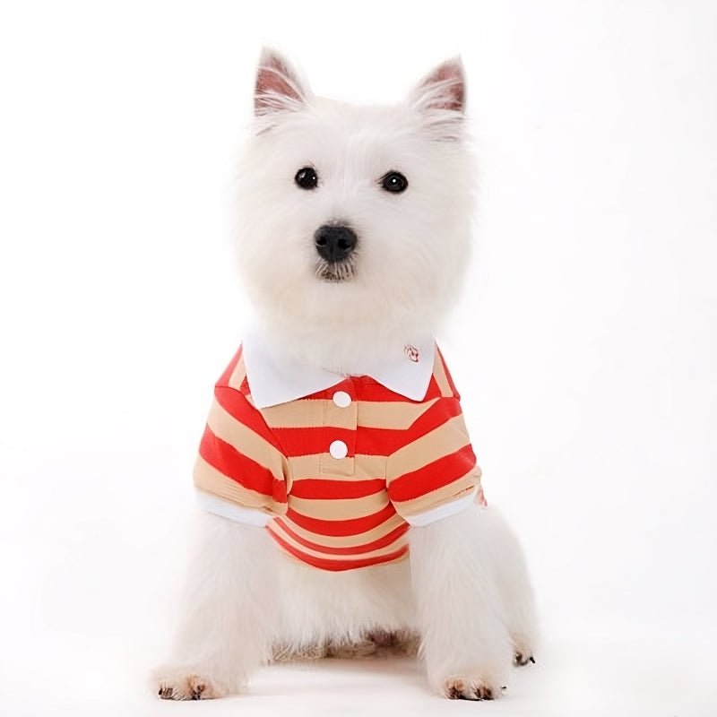 Red-and-white striped polo shirt for pets with button placket and collar
