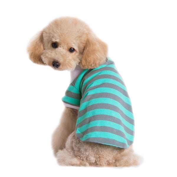 Teal striped polo shirt for dogs with short sleeves and collar