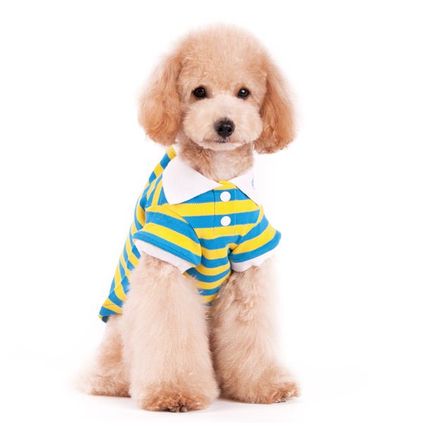 Blue and yellow striped polo shirt for dogs, short sleeves and buttons