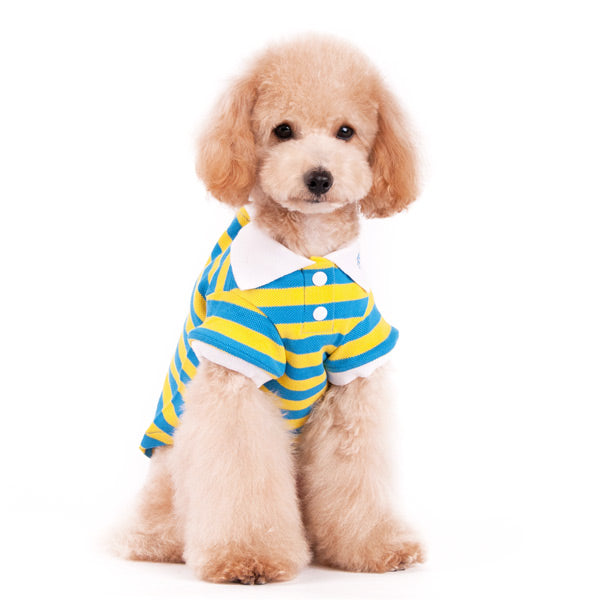 Stripe Polo Shirt