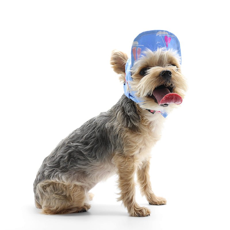 Blue beach hat with sailboat print, worn on small dog