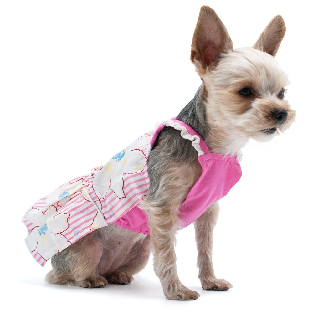 Pink and white ruffled pet dress with back strap opening, floral and stripe print.