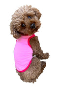 Brown dog wearing bright pink sleeveless summer tank top