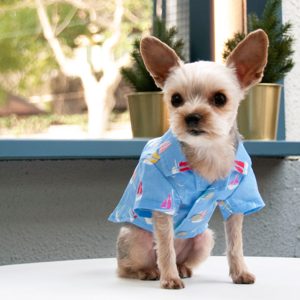 {{product_title}} - Cookies Wagging Friends Boutique
