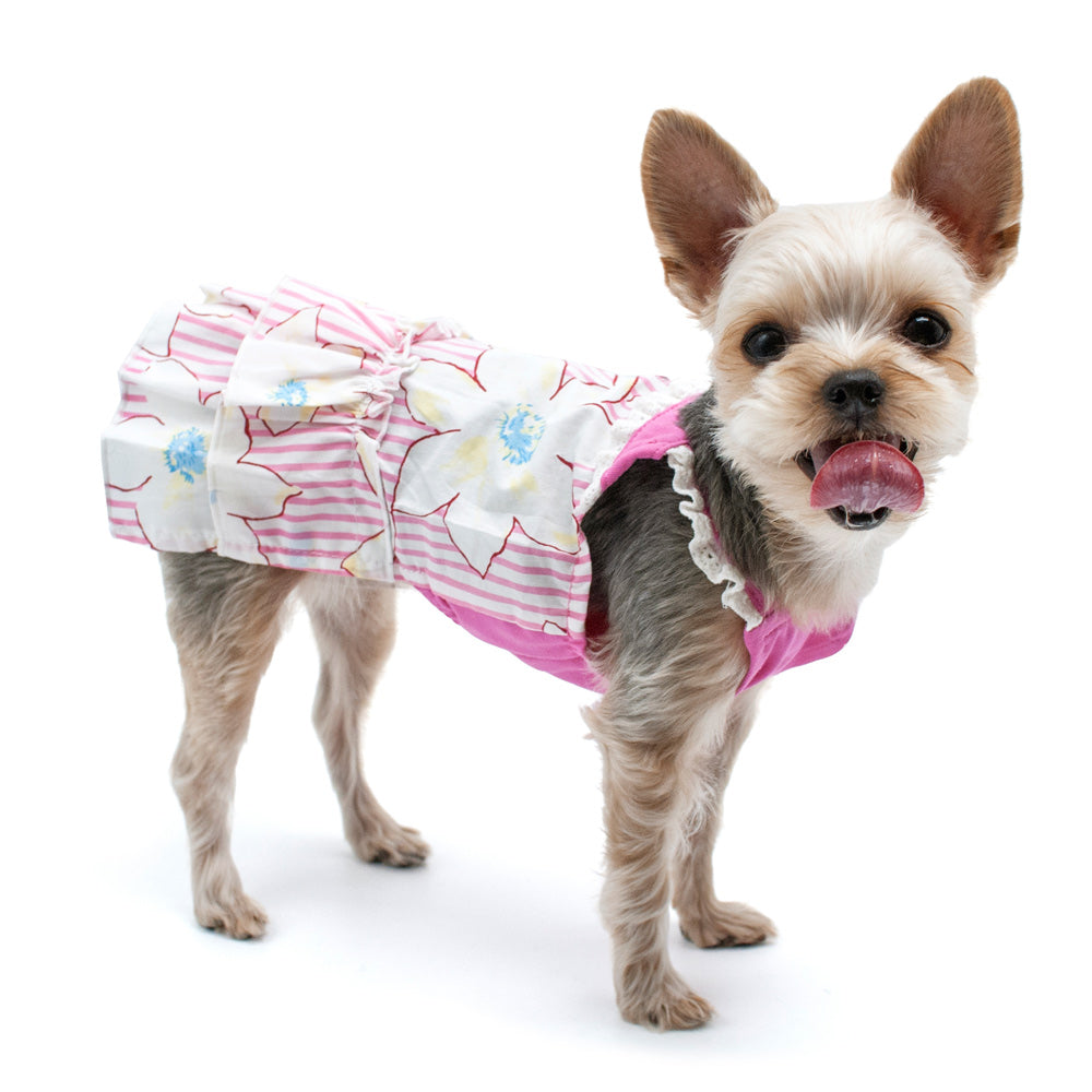 {{product_title}} - Cookies Wagging Friends Boutique