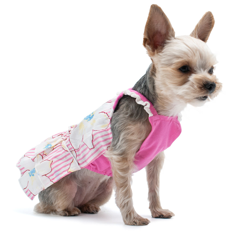 {{product_title}} - Cookies Wagging Friends Boutique