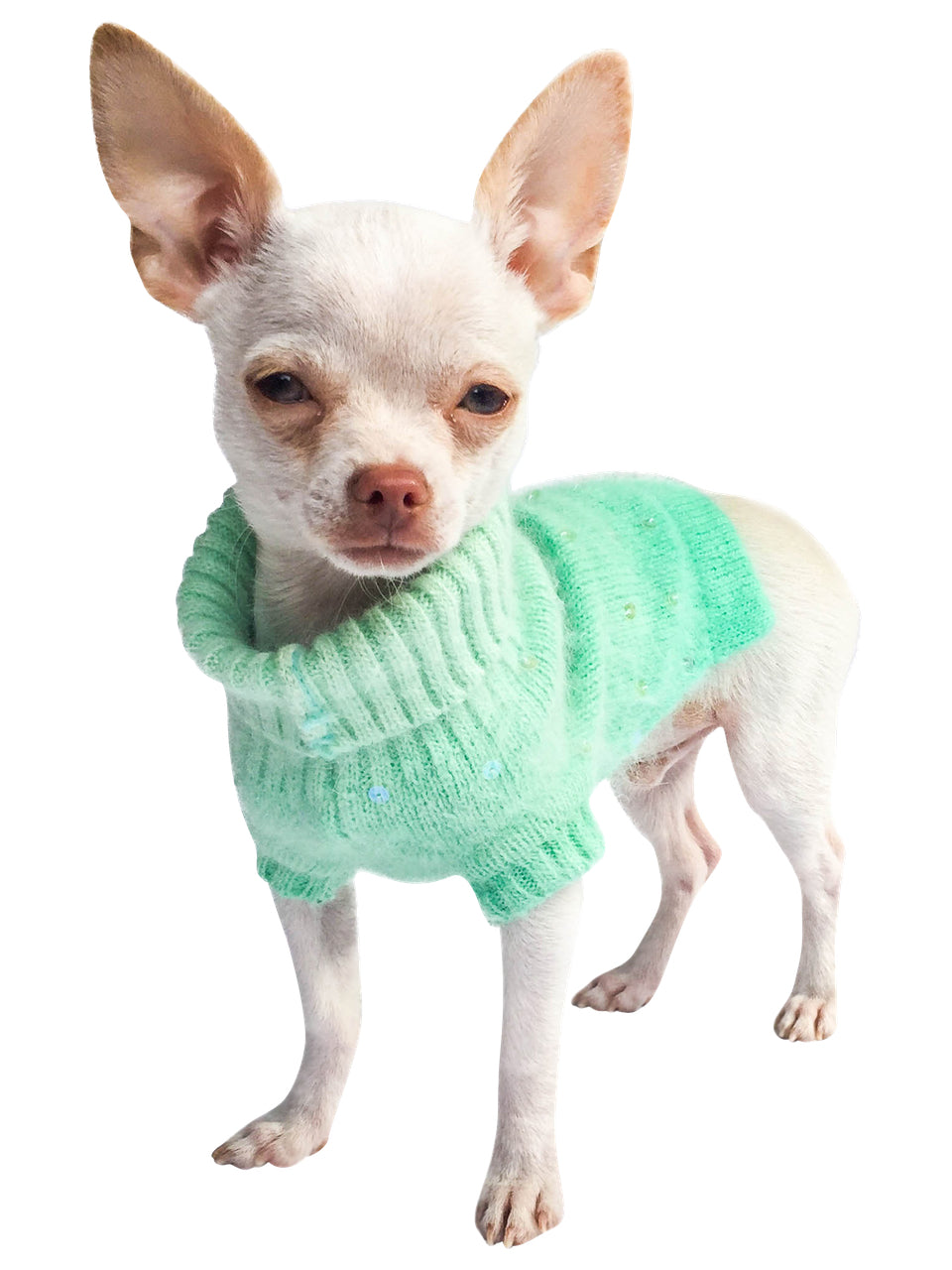 {{product_title}} - Cookies Wagging Friends Boutique