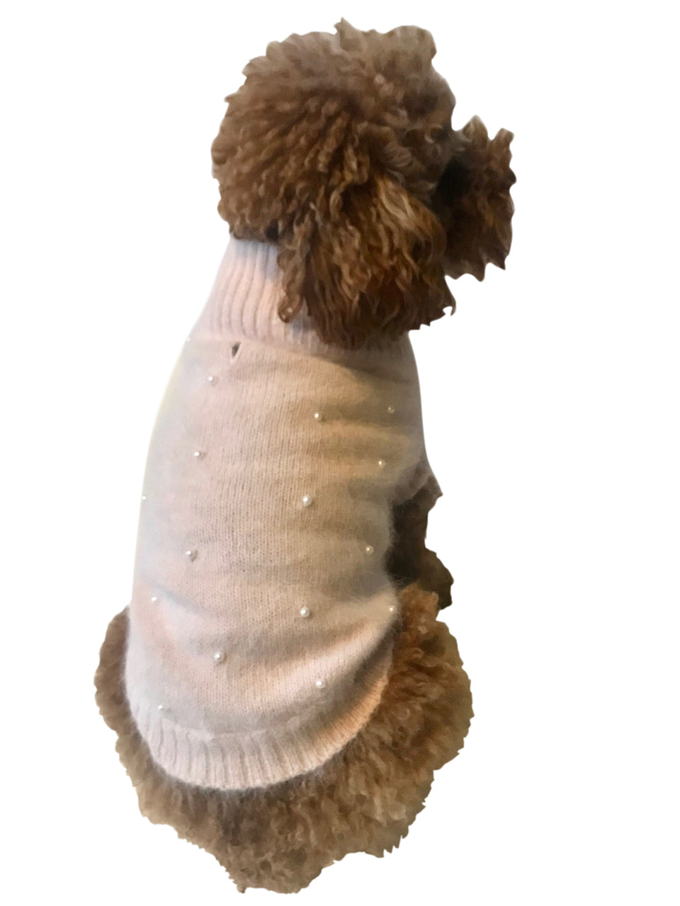 {{product_title}} - Cookies Wagging Friends Boutique