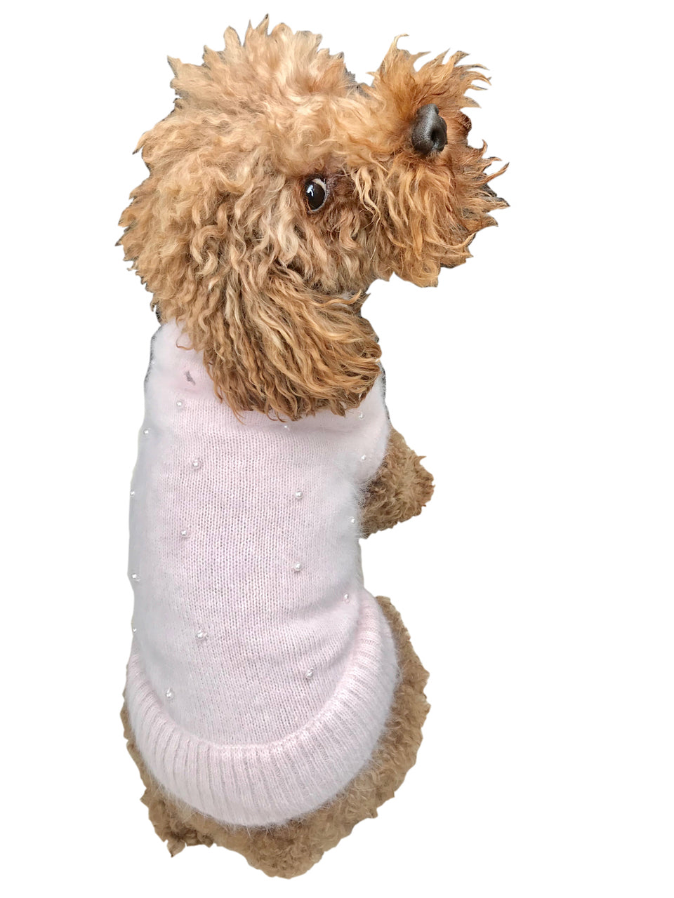 {{product_title}} - Cookies Wagging Friends Boutique