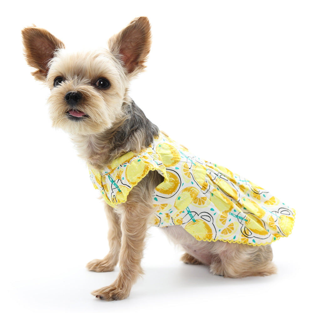 {{product_title}} - Cookies Wagging Friends Boutique