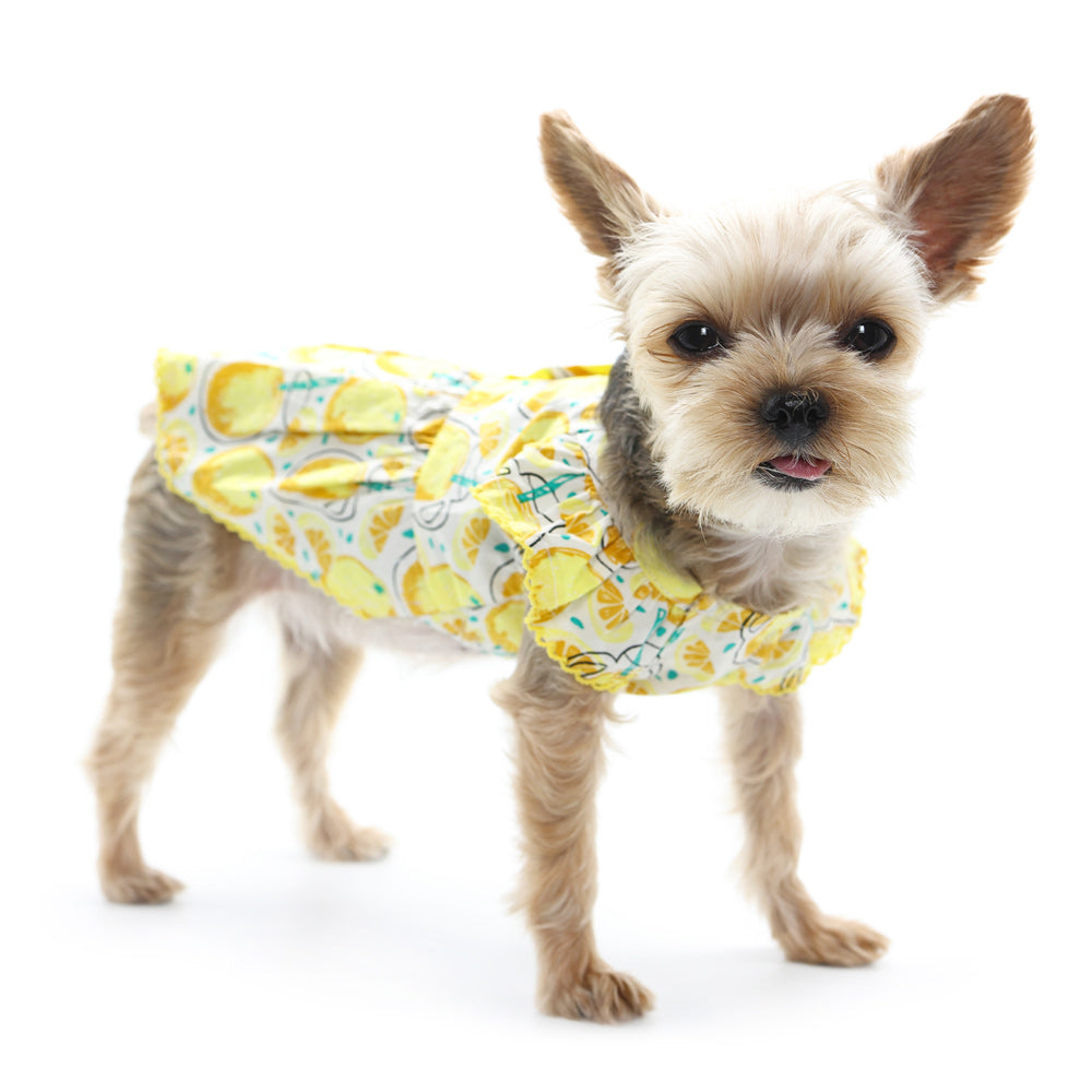 {{product_title}} - Cookies Wagging Friends Boutique