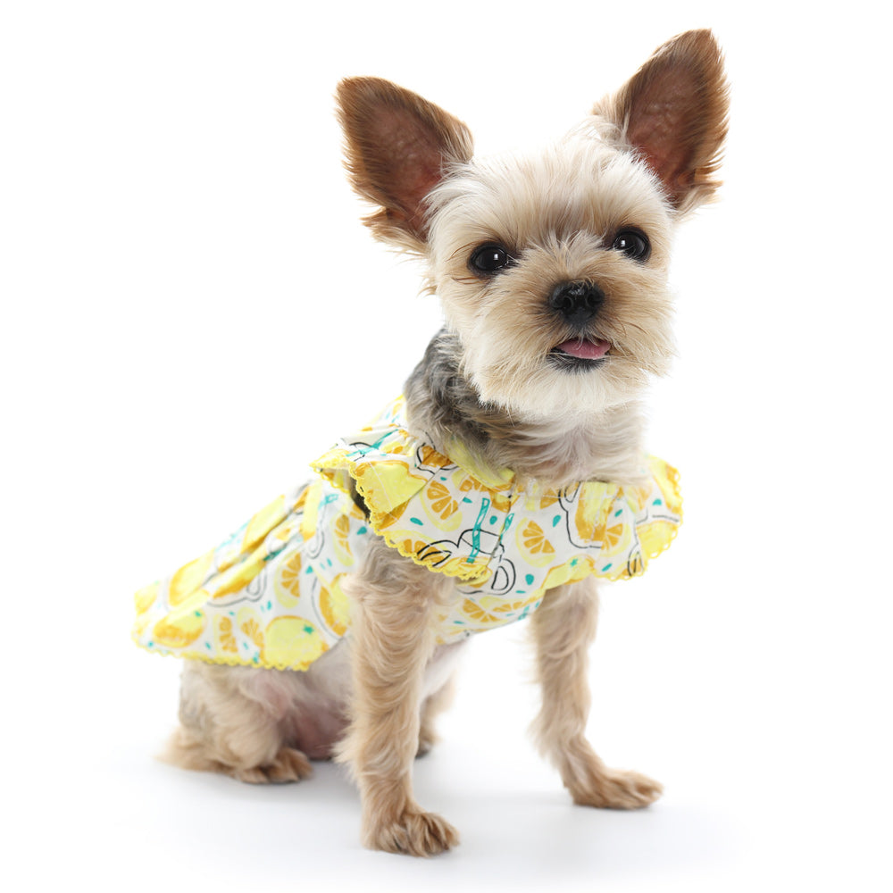{{product_title}} - Cookies Wagging Friends Boutique