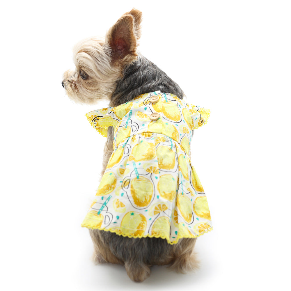 {{product_title}} - Cookies Wagging Friends Boutique