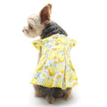 {{product_title}} - Cookies Wagging Friends Boutique