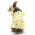 Yellow lemon print pet dress with ruffled sleeves and gathered skirt
