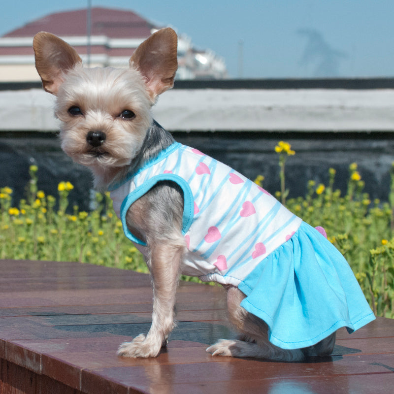 {{product_title}} - Cookies Wagging Friends Boutique