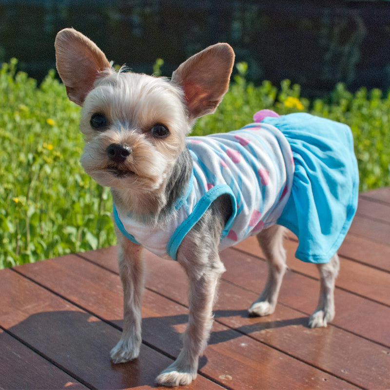 {{product_title}} - Cookies Wagging Friends Boutique
