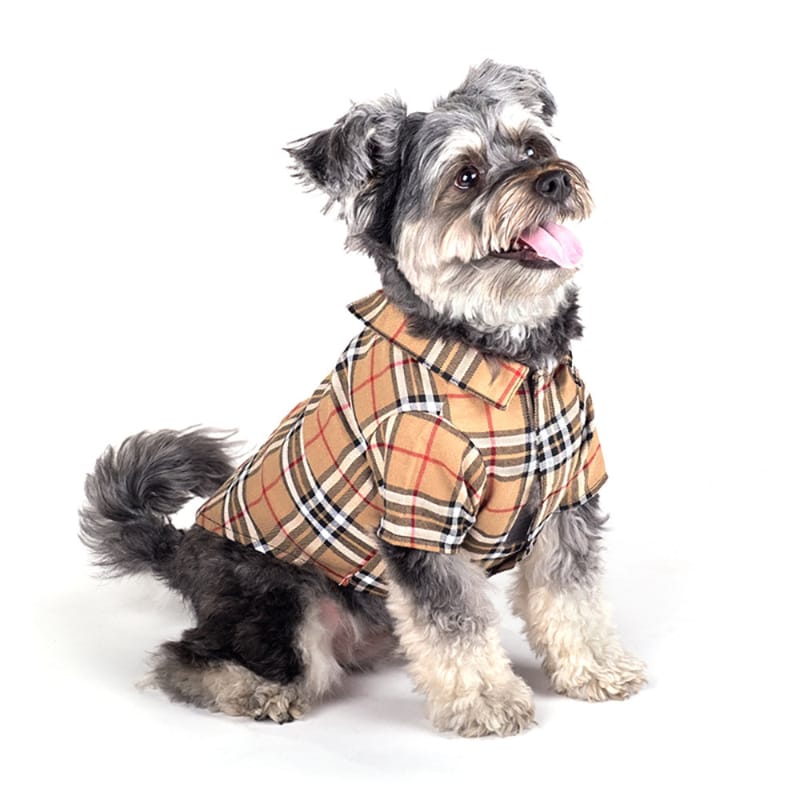 Tan plaid collared dog shirt with red and black check pattern and button front