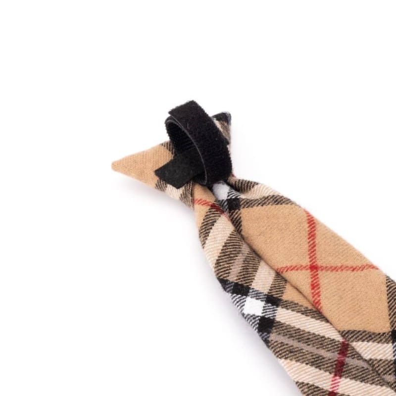 Tan plaid pet neck-tie attachment with Velcro strap and black loop, front tie knot