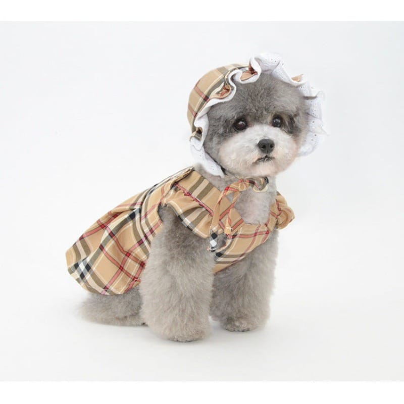 Tan plaid dog dress with ruffle straps and button front, worn by small dog