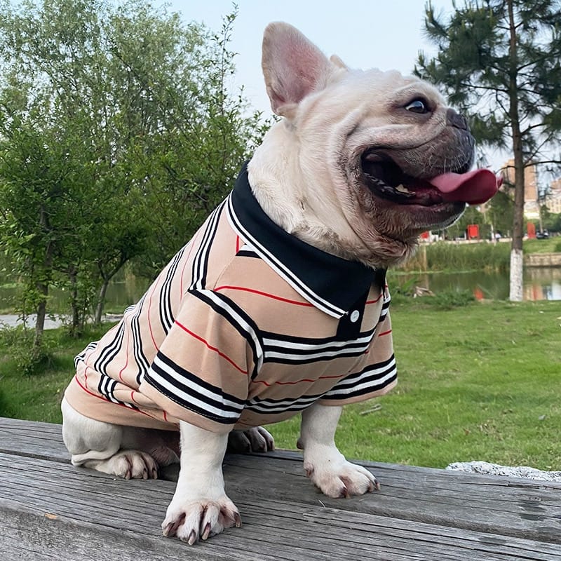 Tan striped polo dog shirt with navy trim, red/black stripes, short sleeves