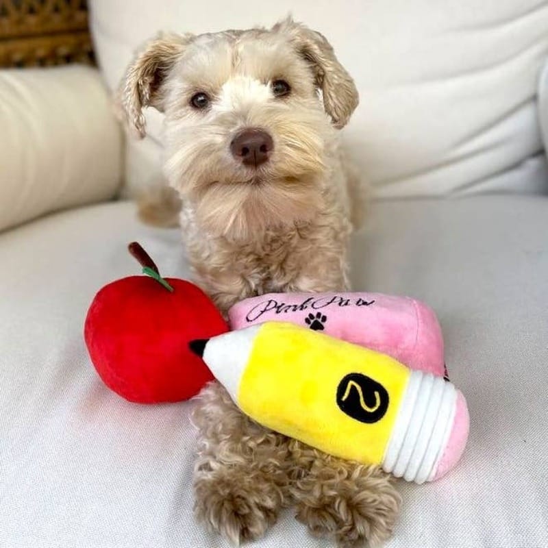 Plush dog toys set with red apple, pink eraser pouch, and yellow pencil held by dog