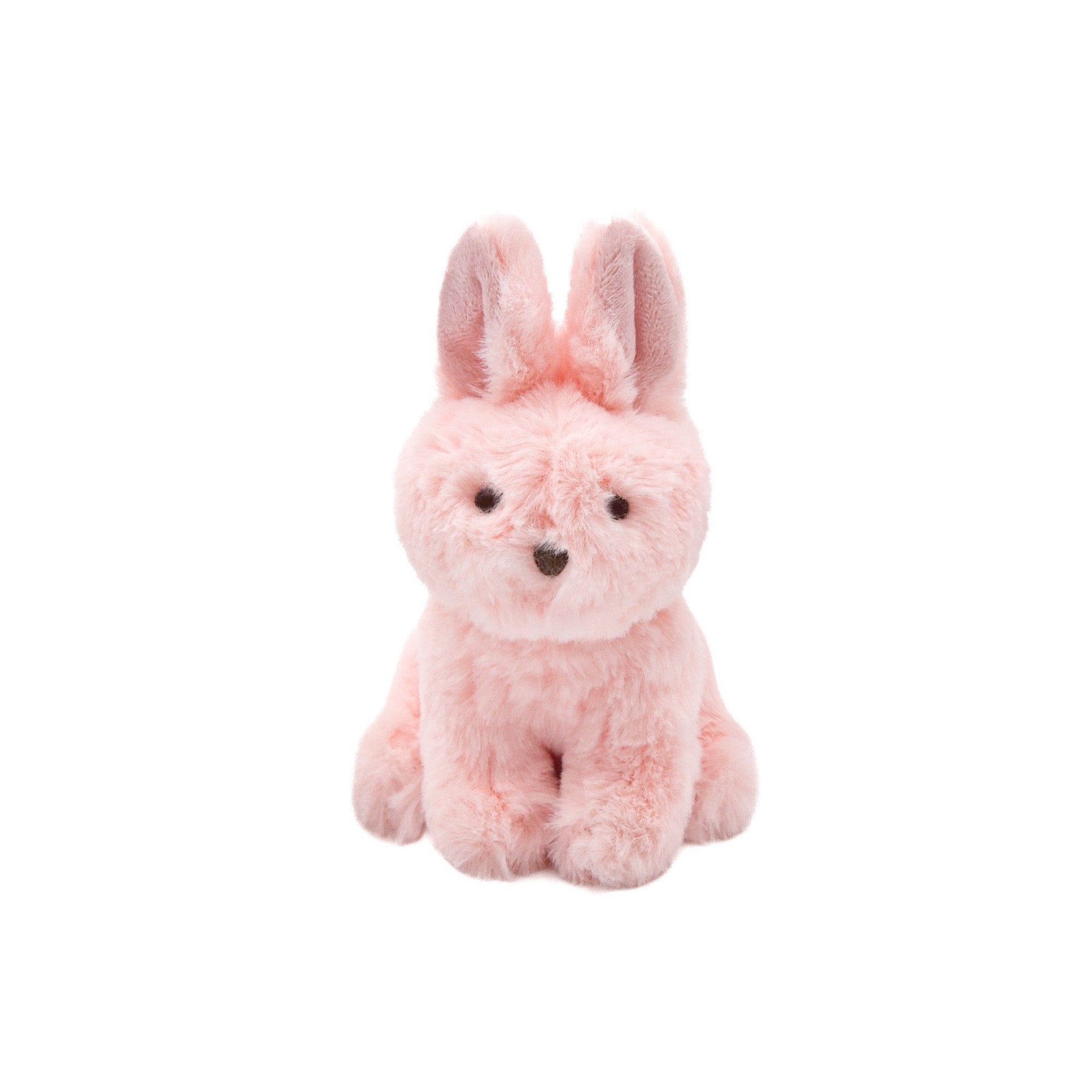 {{product_title}} - Cookies Wagging Friends Boutique