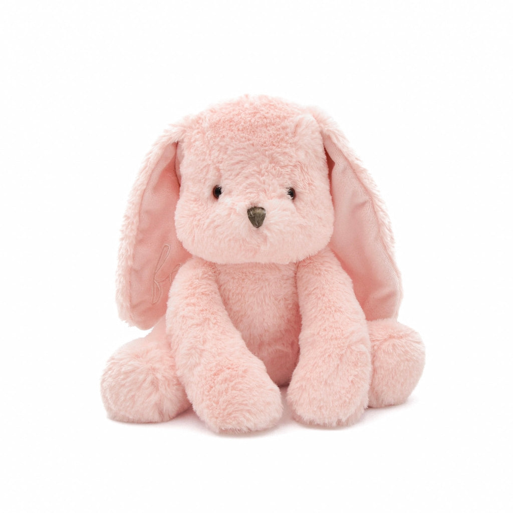 {{product_title}} - Cookies Wagging Friends Boutique