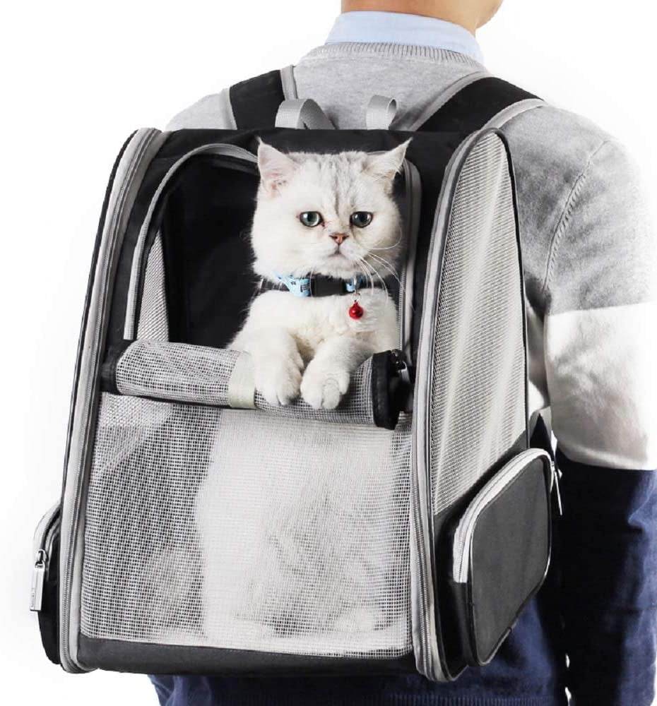 Gray pet bubble backpack carrier with front mesh window and padded interior for cat