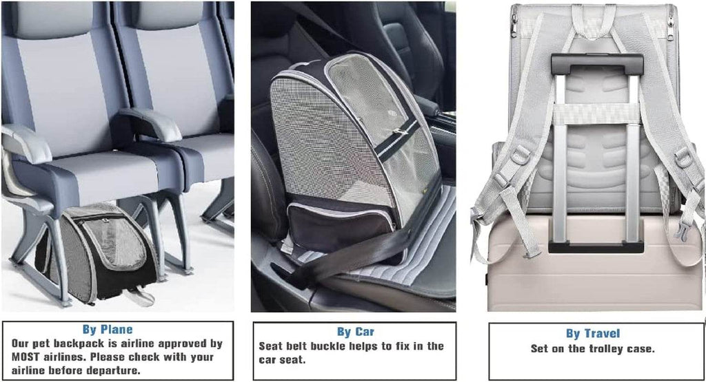 Pet bubble backpack carrier shown seated securely with front mesh and carry handles