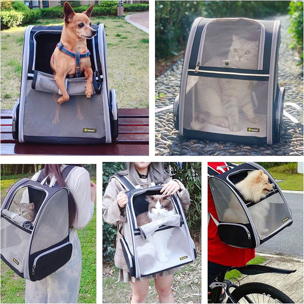 Gray pet bubble backpack carrier with breathable mesh panels for dog in outdoor use