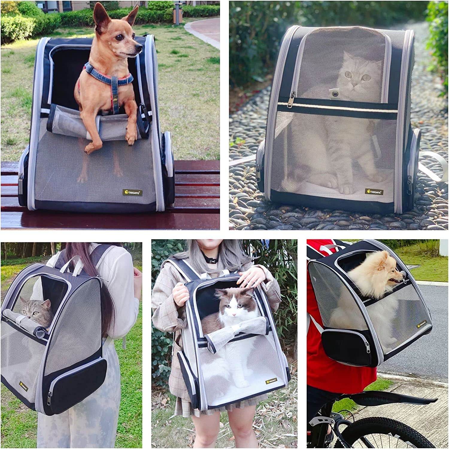 Gray pet bubble backpack carrier with breathable mesh panels for dog in outdoor use