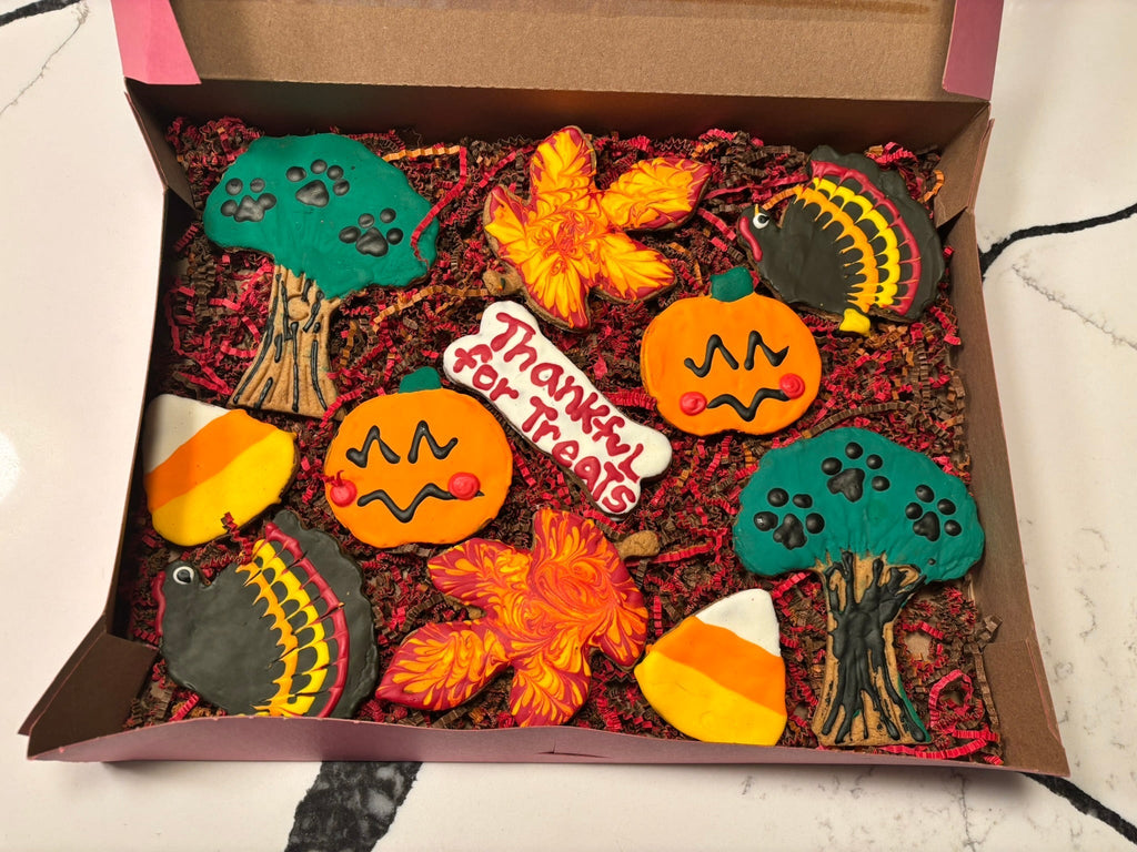 Thanksgiving Organic Dog Cookie Box Fursace Luxury Dog Plush Toy - Red Squeaky | Cookies Wagging Friends Boutique Cookies Wagging Friends Boutique