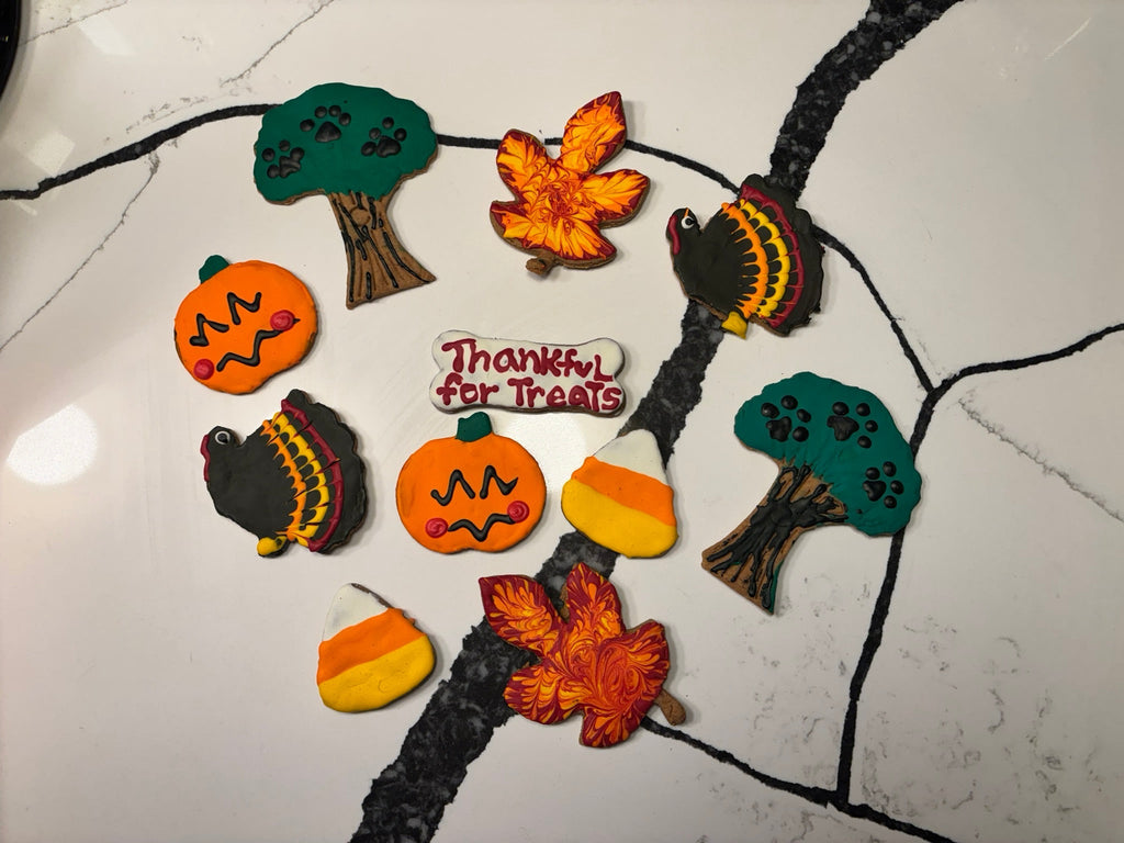 Thanksgiving Organic Dog Cookie Box Fursace Luxury Dog Plush Toy - Red Squeaky | Cookies Wagging Friends Boutique Cookies Wagging Friends Boutique
