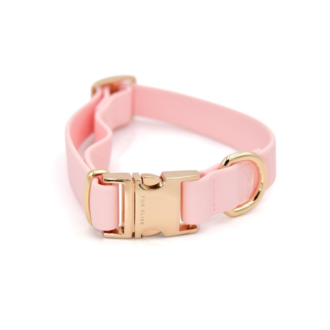 Pink dog collar with gold buckle and hardware clasp